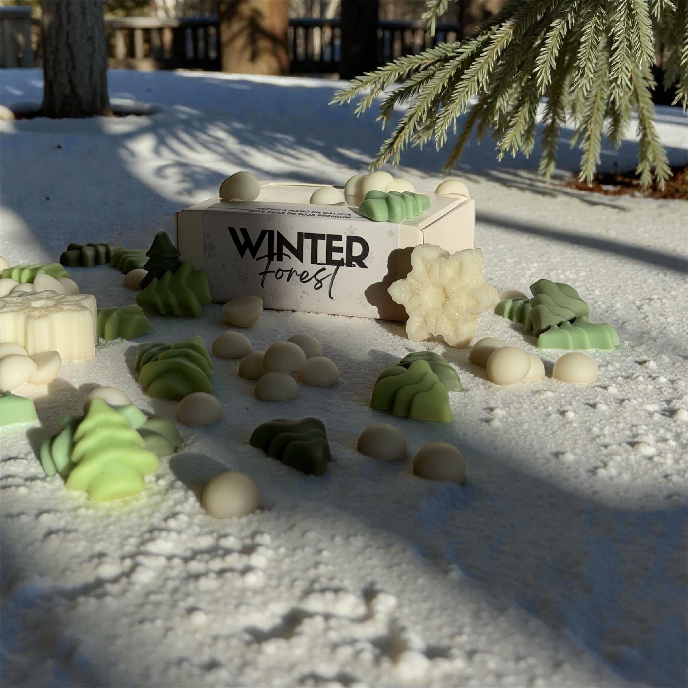 Photoroom_20251213_163428 (1)