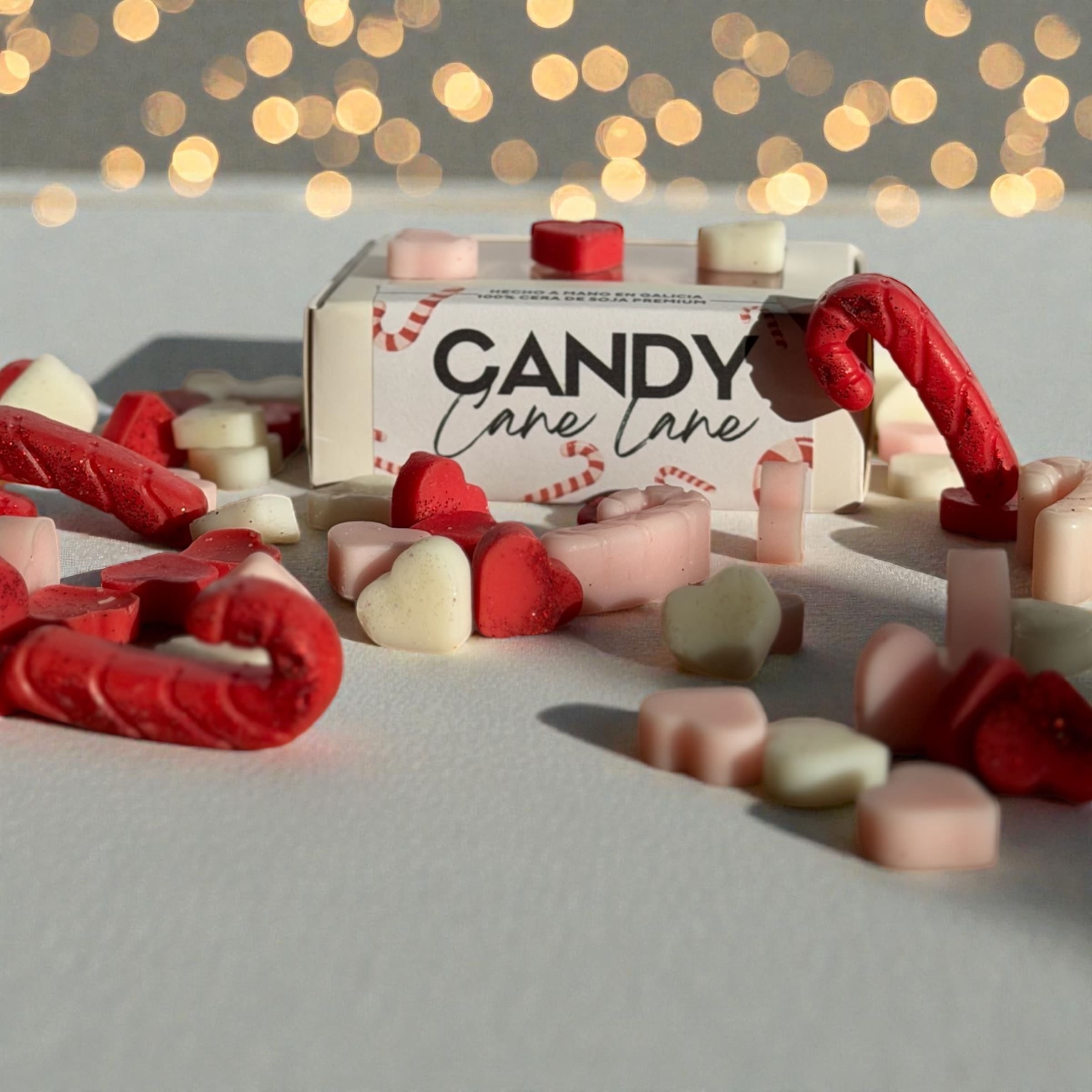 Photoroom_20251214_130523 (1)