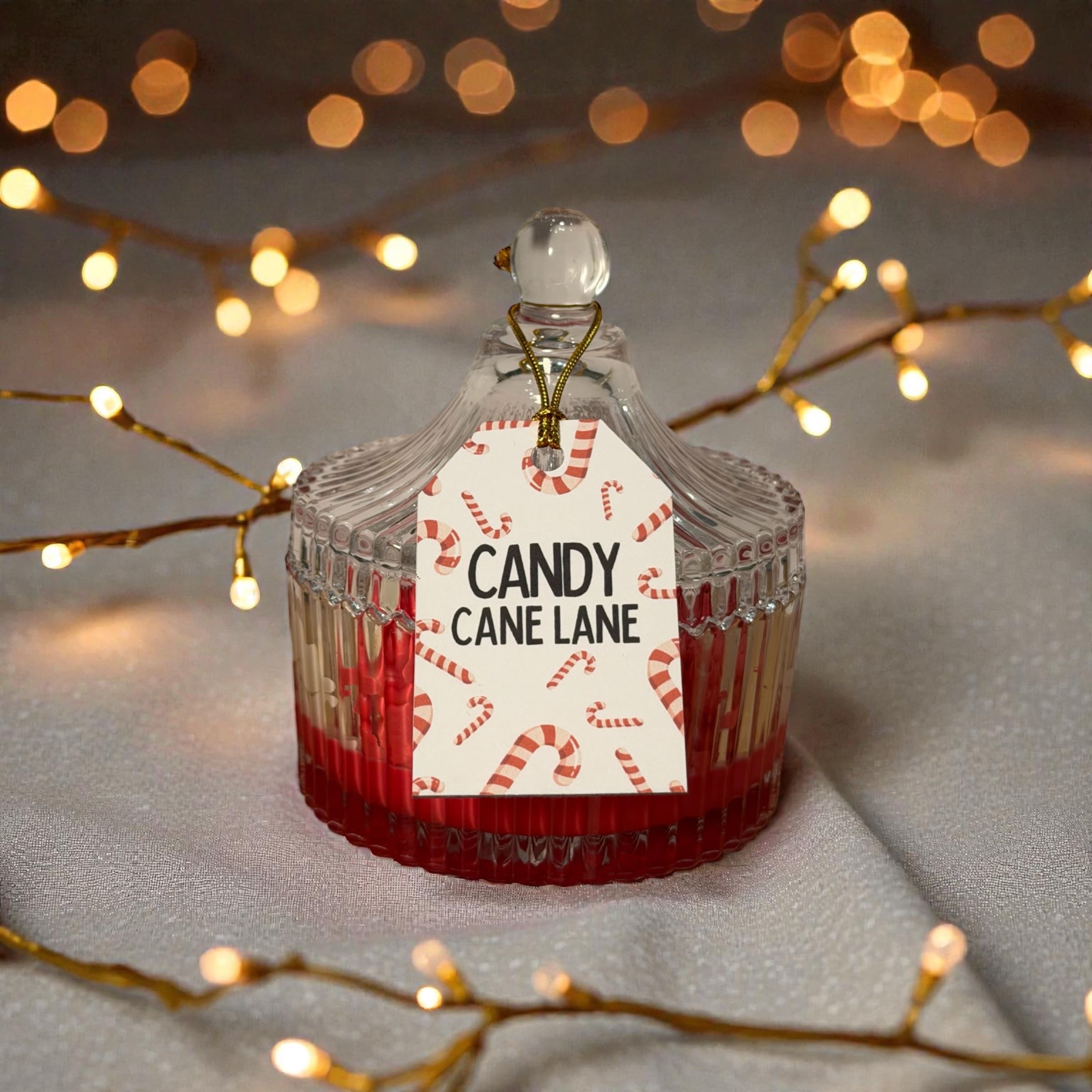 Photoroom_20251214_205132 (1)