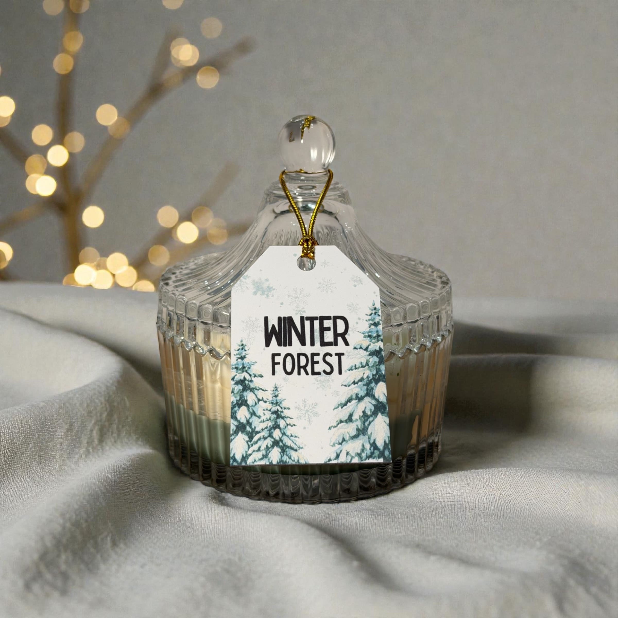 Photoroom_20251214_205241 (1)